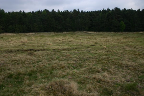 eifelnatur.de Breiniger Berg Bilder